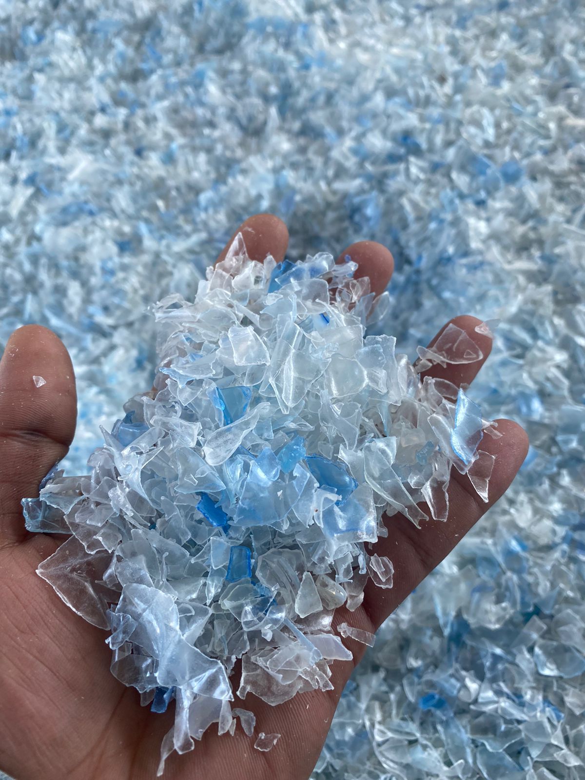 Image WhatsApp 2024-11-12 &agrave; 21.25.57